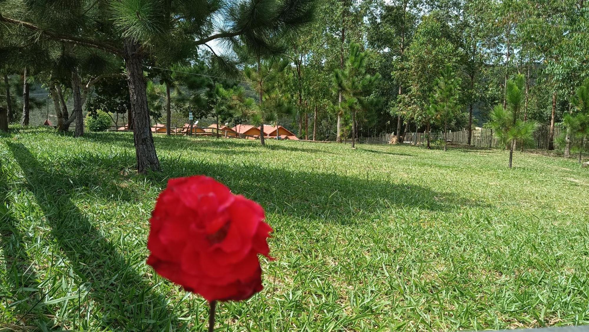 Chales E Camping Do Robinho 1 São Tomé das Letras Eksteriør bilde